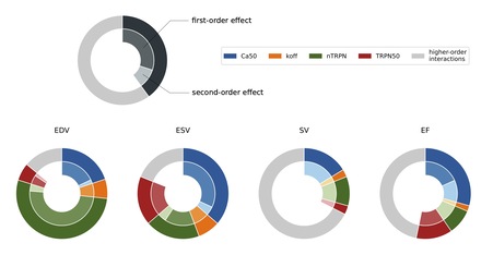 J_PHYSIOL_Fig3_other