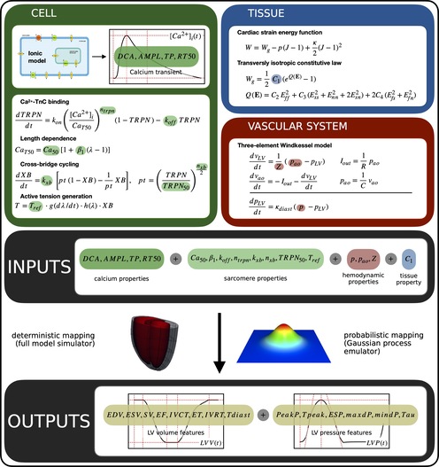 PLOS_COMPUT_BIOL_Fig1