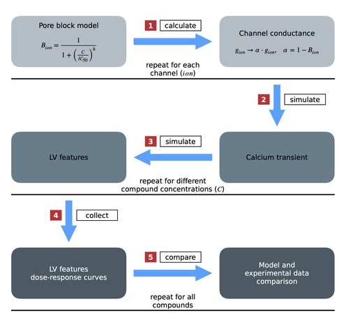 PLOS_COMPUT_BIOL_Fig2